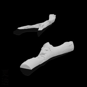 国产美女自慰在线观看
